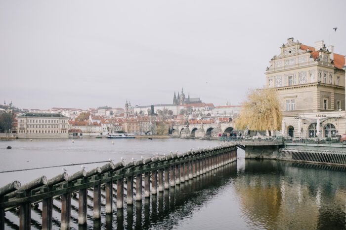 St. Thomas church & Altany Kampa - Weddings in Prague - Julie May