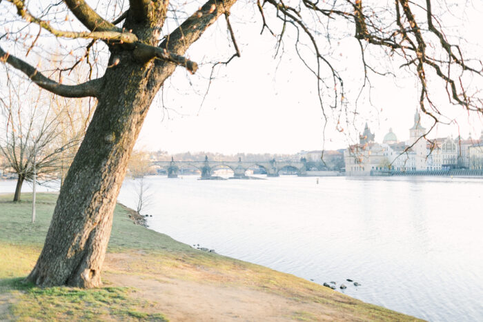 Daniel & Yael - Weddings in Prague - Julie May