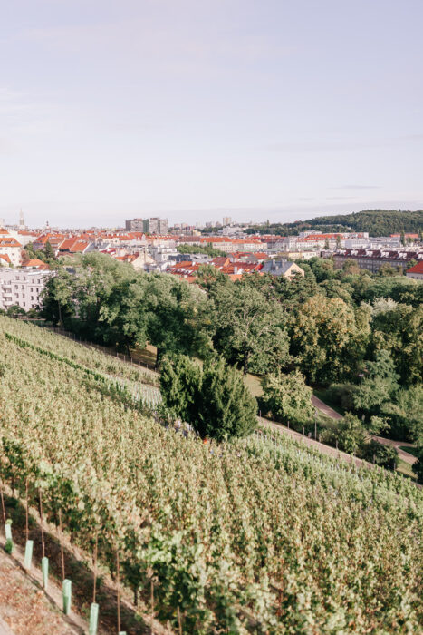 St.Ludmila church & pavilon Grebocka - Weddings in Prague - Julie May