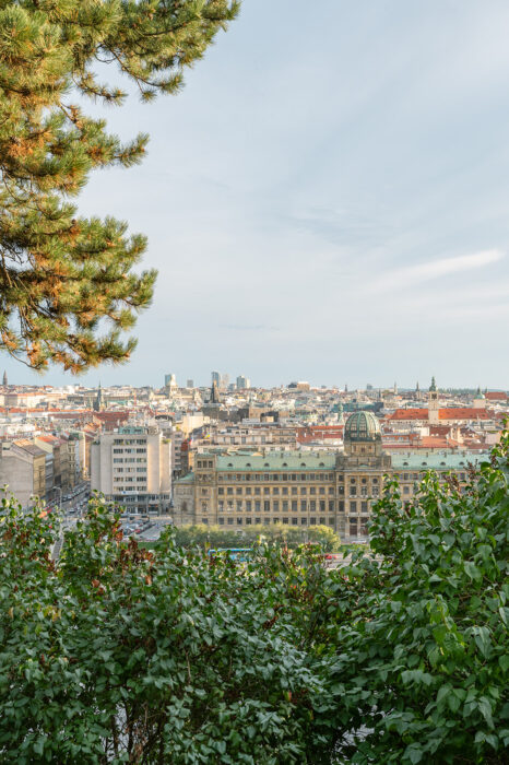 St. Thomas church & Letensky Chateau - Weddings in Prague - Julie May